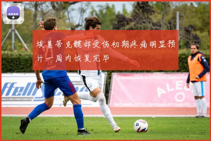 埃基蒂克髋部受伤初期疼痛明显预计一周内恢复完毕