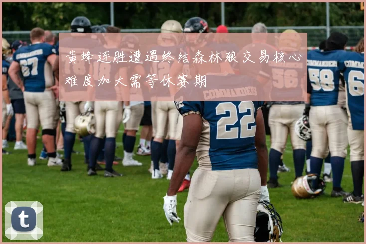 黄蜂连胜遭遇终结森林狼交易核心难度加大需等休赛期