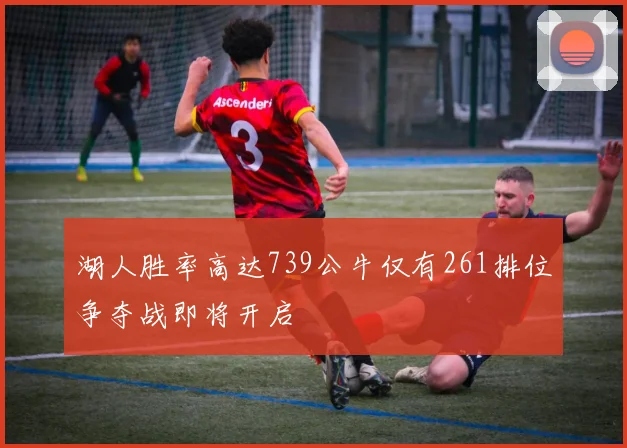 湖人胜率高达739公牛仅有261排位争夺战即将开启