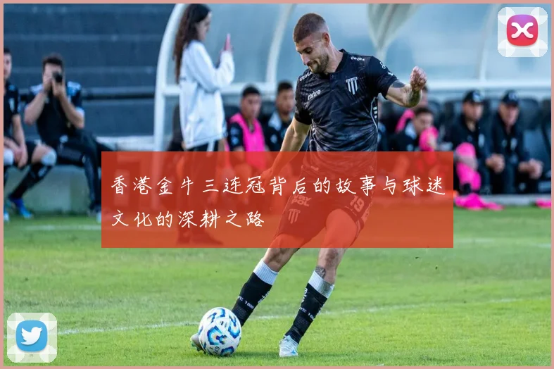 香港金牛三连冠背后的故事与球迷文化的深耕之路
